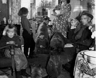 haarlem-waarderveld-6